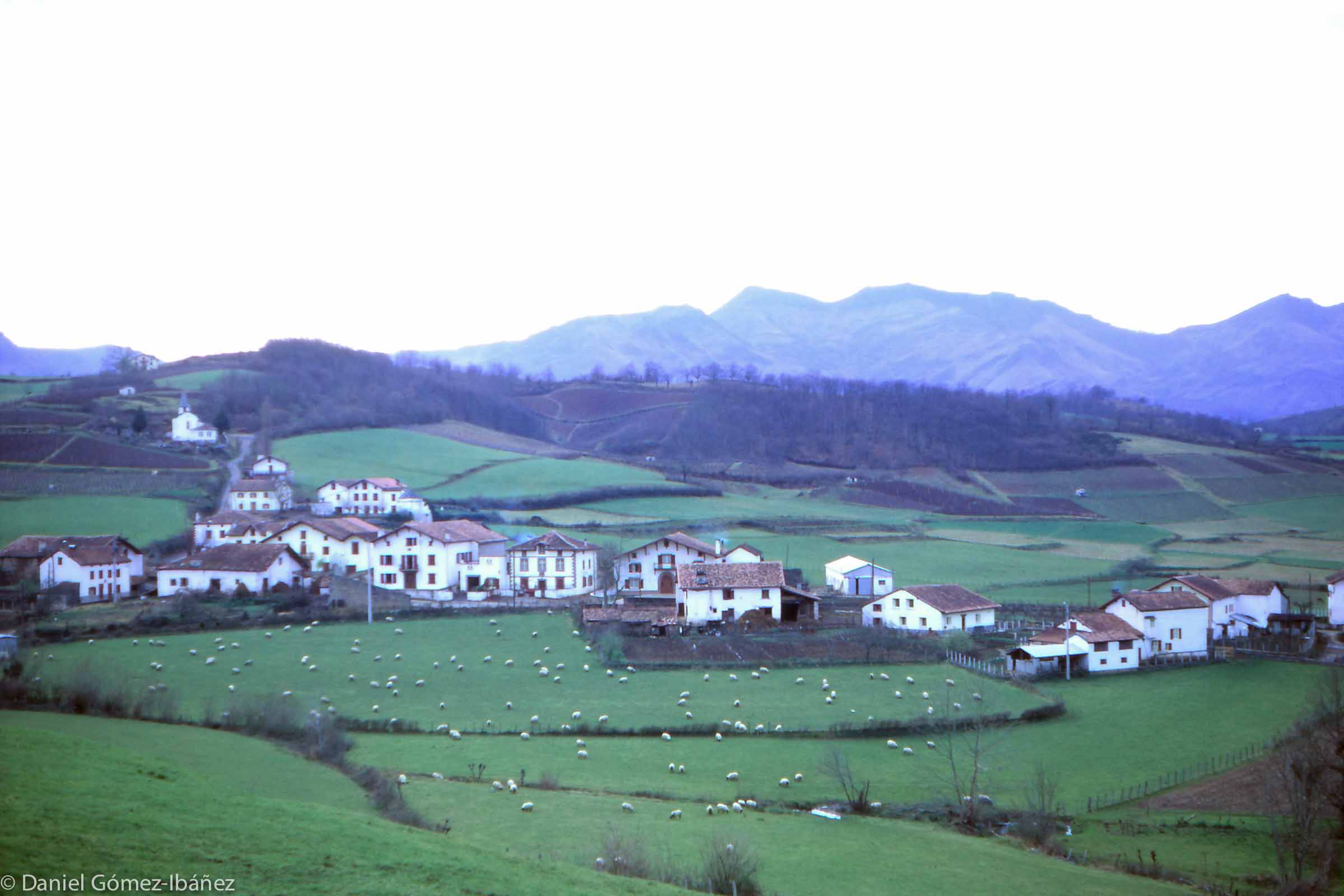 Most Basque farms are dispersed, but in some places farmsteads cluster together to form a village, as here. [Anhaux, Pyrénées-Atlantiques, France, 1968]