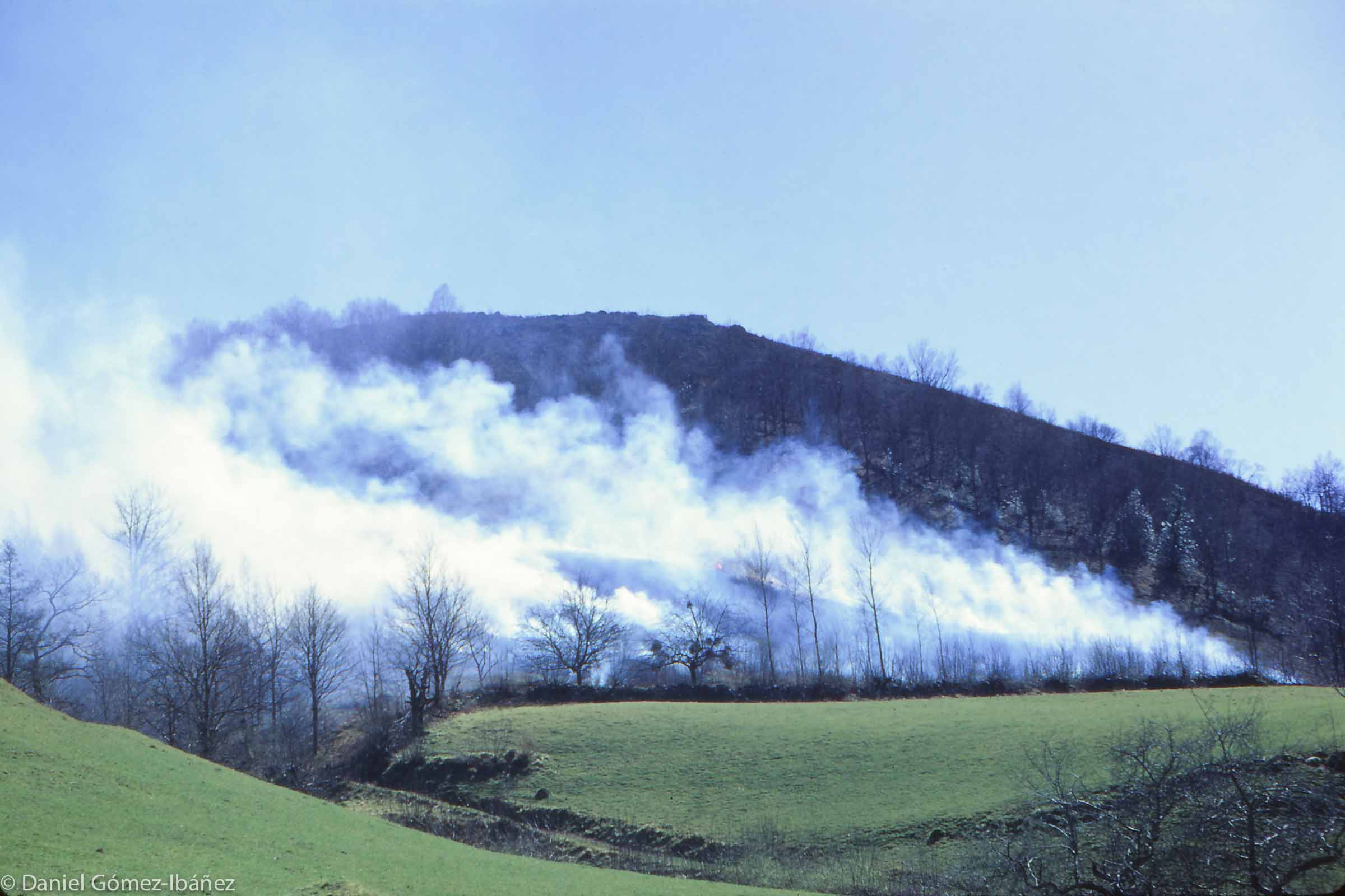 In spring entire mountainsides are burned to encourage the grown of bracken (ferns) which will be cut and harvested to serve as bedding for the flocks and herds that spend winters stabled at the farmstead. [Baïgorry, Pyrénées-Atlantiques, France, 1968]