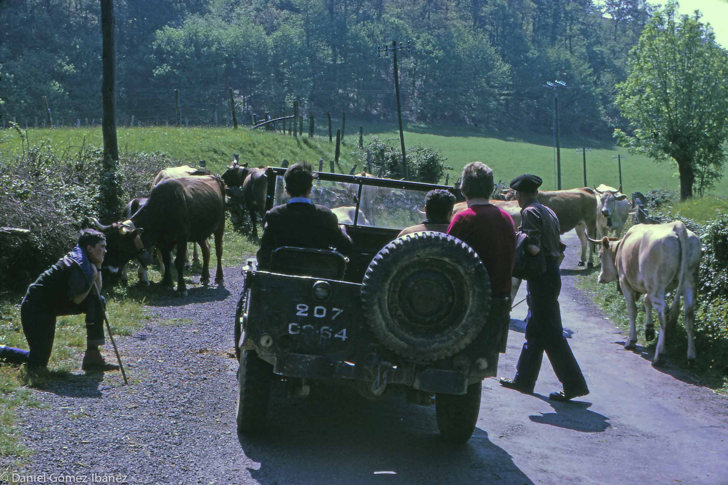 The transition to mechanized ways began after World War II when the US Army released surplus equipment. Thousands of Jeeps were sold by the French government and were relatively inexpensive. They transformed farming in rural France, and in the Pyrenees they were still widespread, still going strong, more than twenty years later. [Aldudes, Pyrénées-Atlantiques, France, 1968]