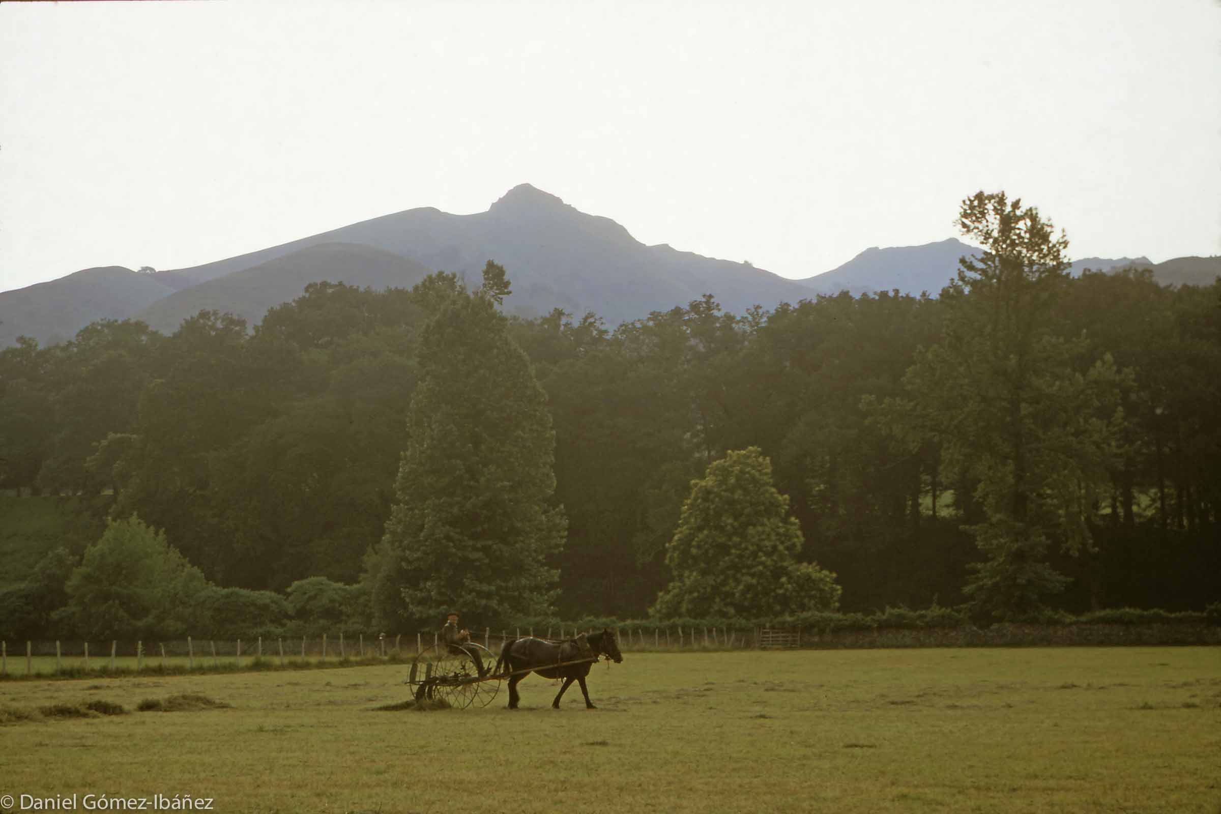 In the 1960s, when I made these photographs, farmers in the western Pyrenees were gradually shifting to mechanized equipment. One could still see the old ways. As the sun sets, a horse-drawn dump rake makes windrows in a Baïgorry hayfield. [St. Etienne de Baïgorry, Pyrénées-Atlantiques, France, 1968]