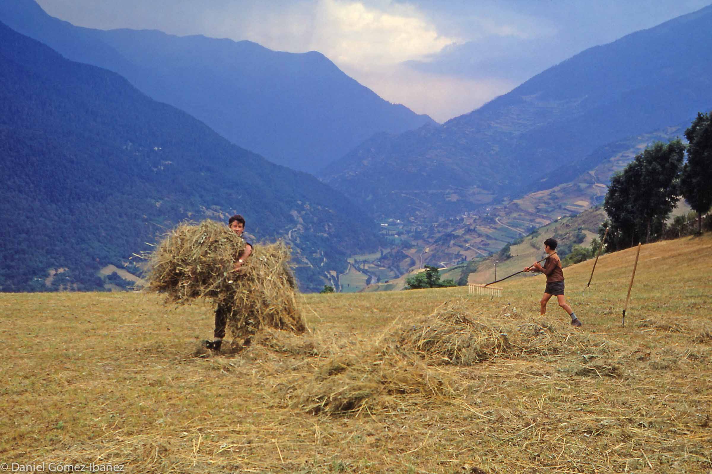 Pedro and his father rake and gather the windrows of dried hay. Haying is a critical activity during the summer in Mont because heavy snowfalls keep the animals in the barns during winter rather than grazing on pasture. Farmers in Mont hope for two cuttings of hay each season.