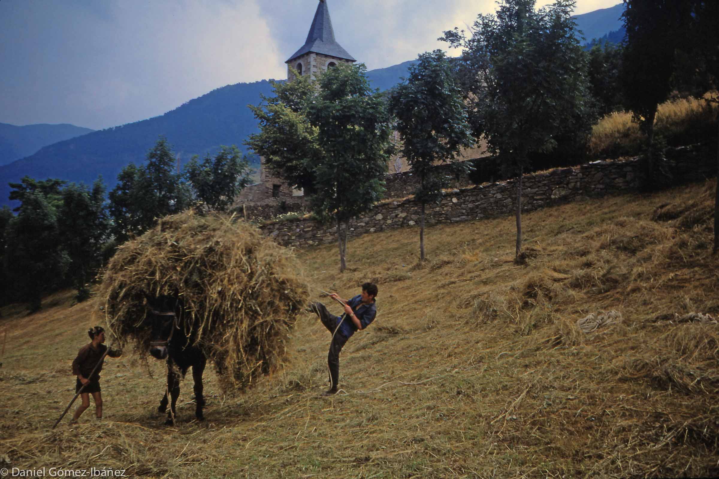 The horse gets another load of hay. Mont's church is on the other side of the road that leads to the village.