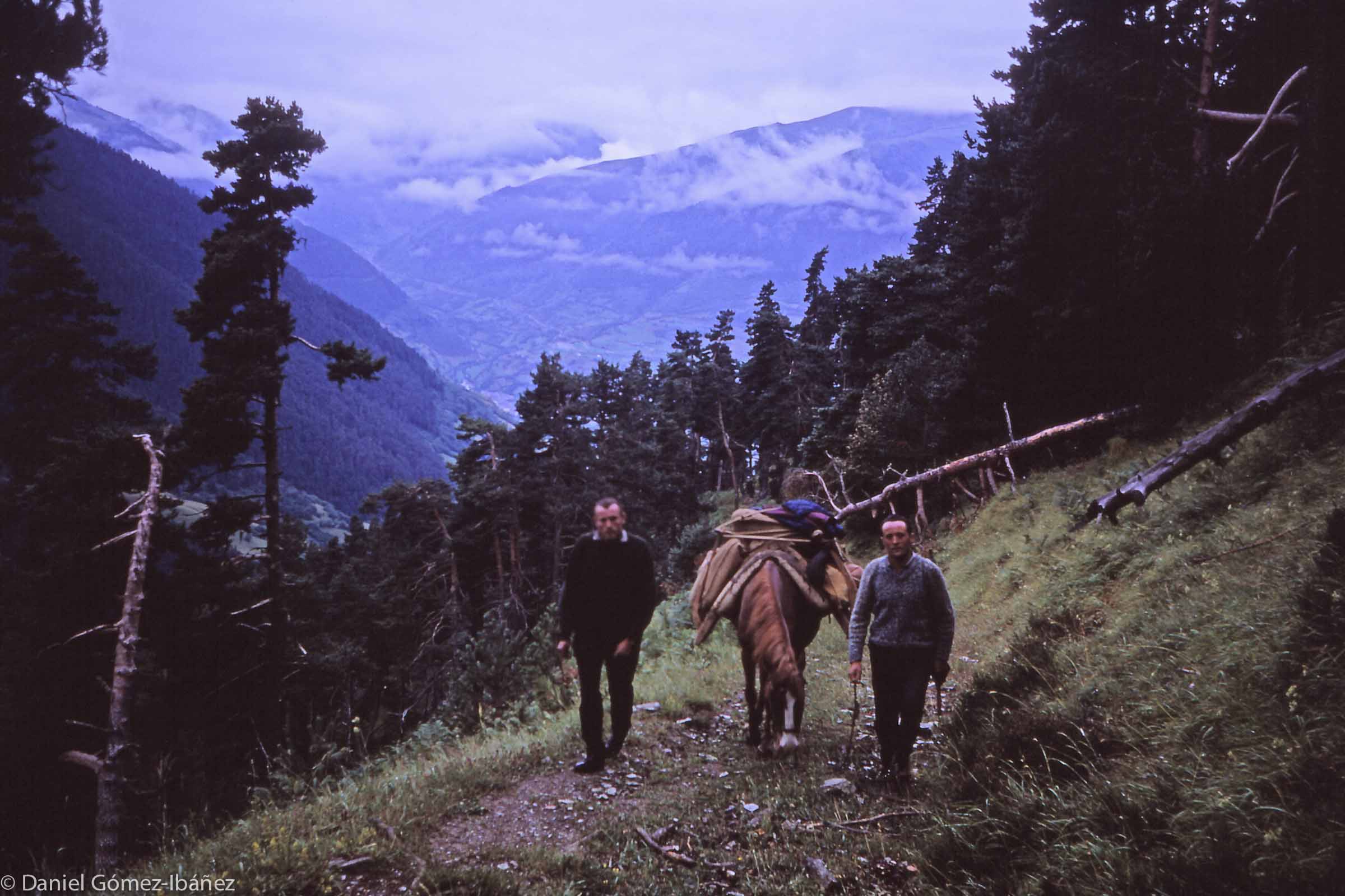 Two men from Mont make a weekly climb from the village to the mountain grazings to bring supplies to the herder. Mont's six families combine their flocks of sheep and herds of cattle during the summer months.