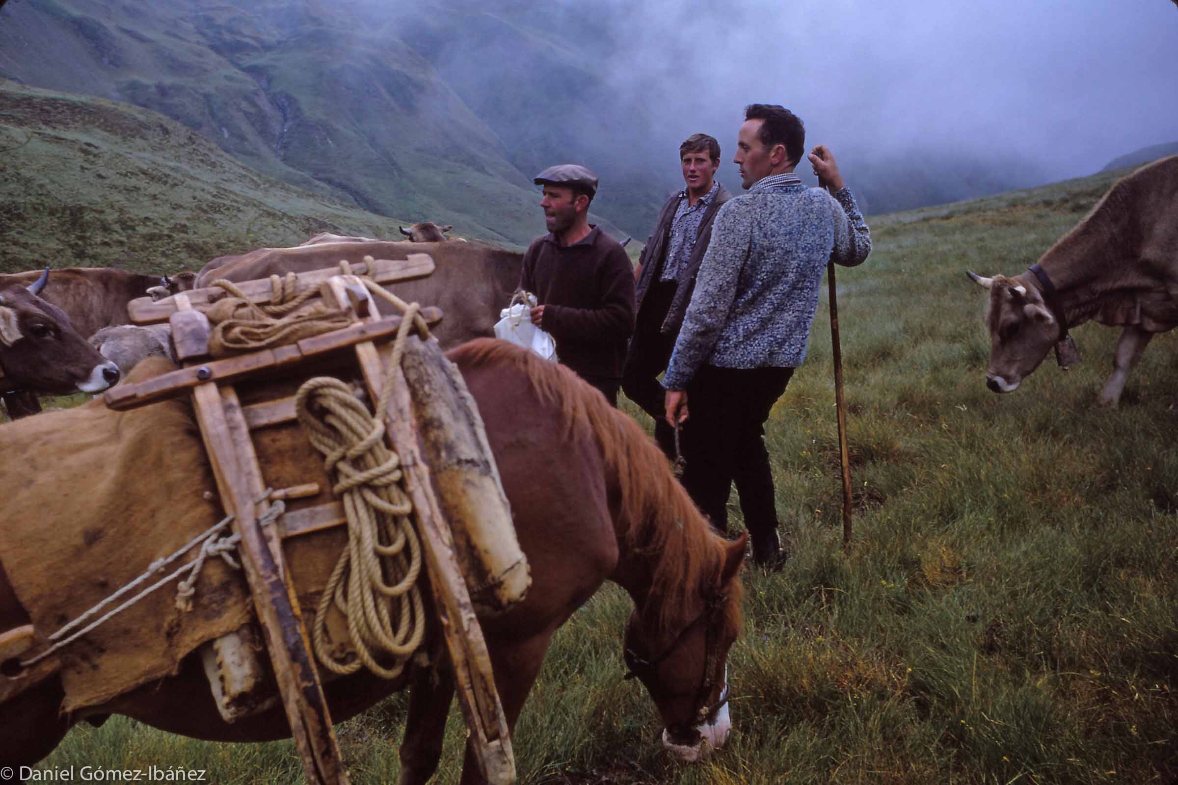 The herder (in beret) and the two men from Mont who have made their weekly climb from the village to the mountain grazings to bring supplies. The herder holds a bag of salt for the cows.