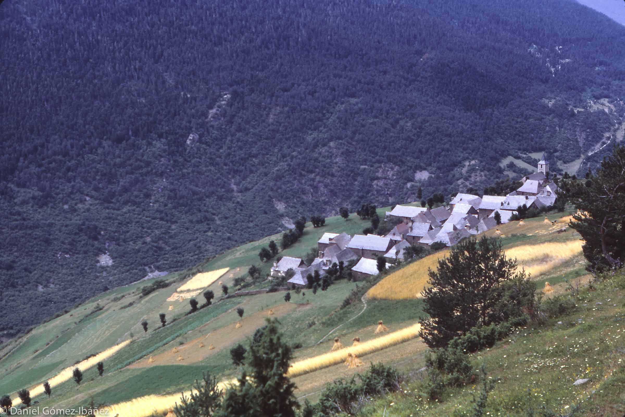 Seen from above, Mont is surrounded by meadows, kitchen gardens, and fields of barley and oats. The forested slope in the distance lies on the opposite side of the valley of the Garonne River.