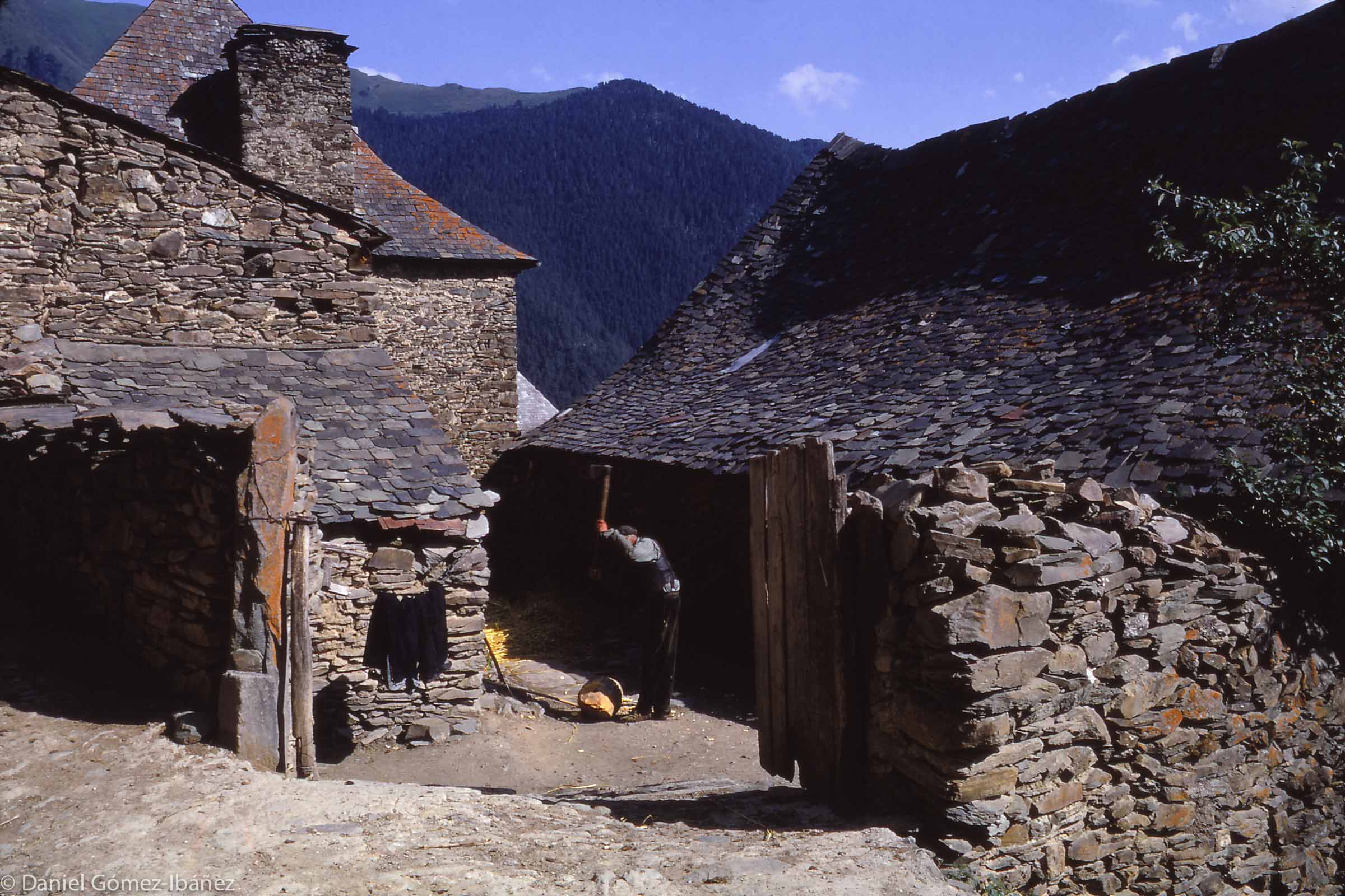 Mr. Monge chops wood in the courtyard of his farmhouse in Mont.