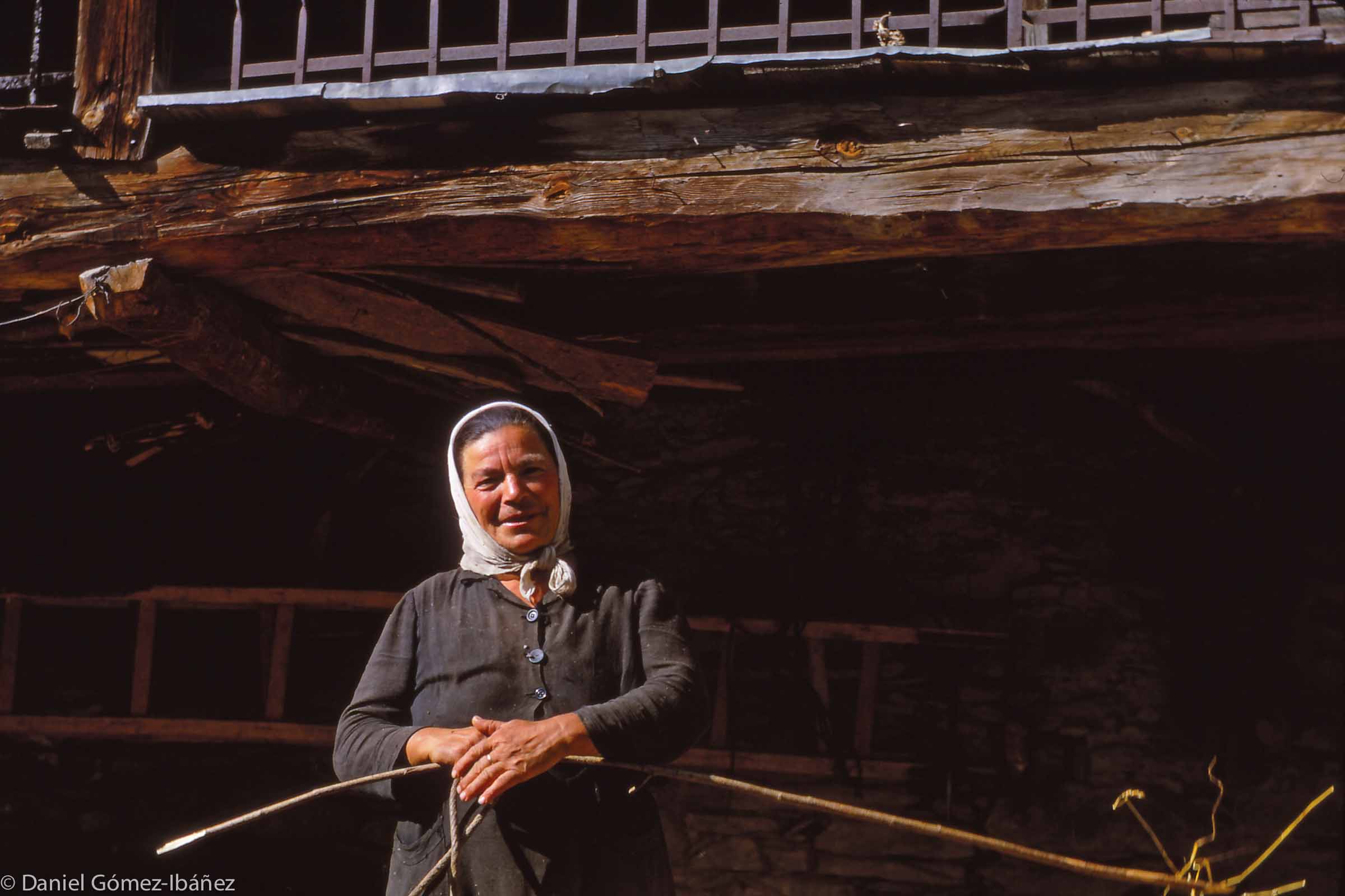 Mrs. Monge pauses during the threshing.