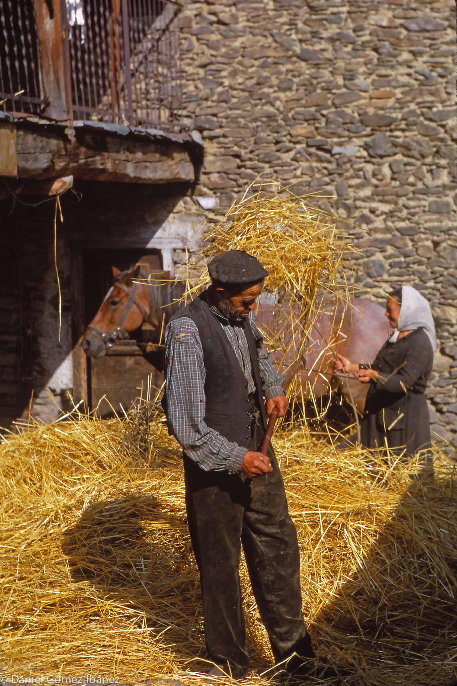 Sheaves of barley are spread on the ground and the family's horse circles the floor, separating the remaining grains from the straw.