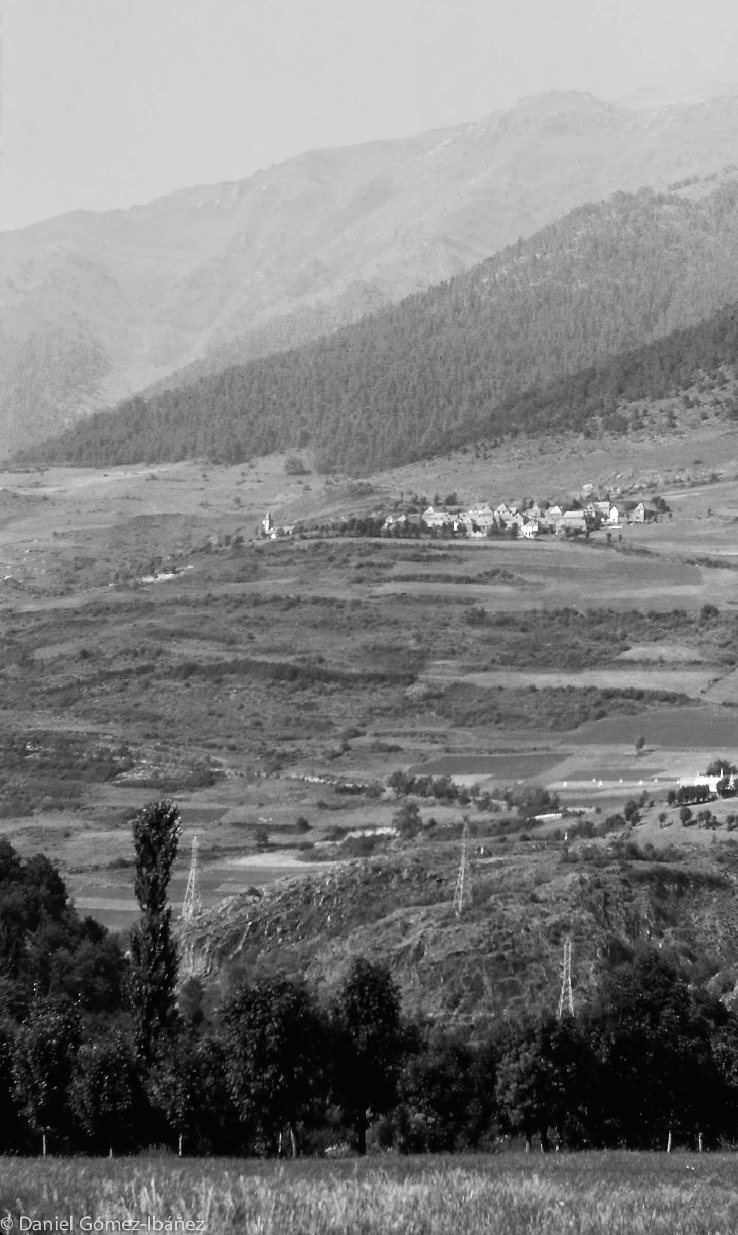 The Spanish Pyrenean village of Mont in the Vall d'Aran sits high on the south slope of the Garonne River valley. Mont was home to more than a hundred inhabitants in the 19th century, but by the 1960s the population had dwindled to 26 persons in six families. The forest above the village is a source of income for Mont, as are the mountain grazings that lie above the tree line.